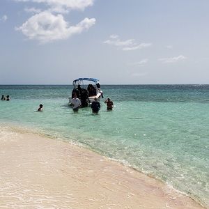 Meet your Posher, Mia